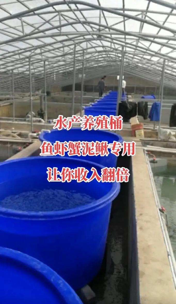 挑戰(zhàn)全網(wǎng)最高性價比水產(chǎn)養(yǎng)殖桶039508.#源頭實力廠家 # - 抖音