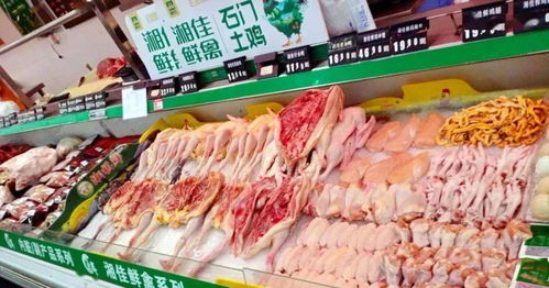 呼吁開放活禽市場,減少冷鏈?zhǔn)称蜂N售,把風(fēng)險降到最低