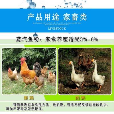 飼料用進口秘魯蒸汽日本級魚粉促進養(yǎng)殖營養(yǎng)吸收