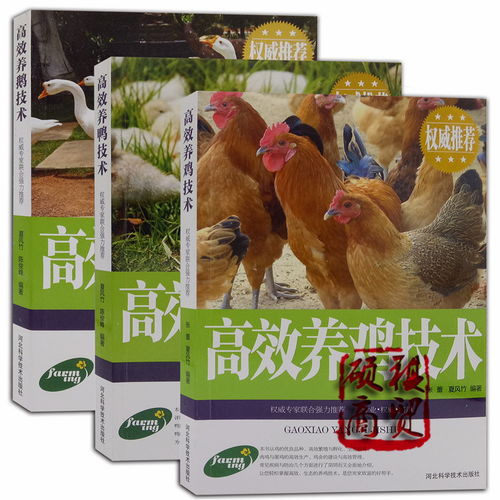 高效養(yǎng)雞技術(shù)高效養(yǎng)鴨技術(shù)高效養(yǎng)鵝技術(shù)科學養(yǎng)殖生態(tài)飼養(yǎng)家禽書籍