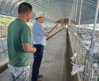省畜牧水產(chǎn)事務中心到城步縣調(diào)研指導鄉(xiāng)村振興工作