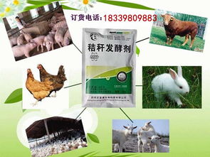 其他飼料添加劑價(jià)格 如何發(fā)酵玉米秸稈做牛飼料喂牛 花費(fèi)的成本高嗎批發(fā)價(jià)格 鄭州市