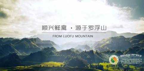 唐順興:一只“供港雞”的國際化之旅|廣東農(nóng)產(chǎn)品出口典型案例