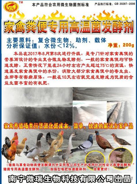 這個(gè)鴨場(chǎng)采用益生菌養(yǎng)殖青頭鴨 專業(yè)菌種發(fā)酵鴨糞制作有機(jī)肥形成生態(tài)養(yǎng)殖效益高