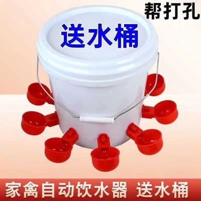雞鴨鵝家禽自動(dòng)喂水器,智能養(yǎng)殖新選擇?揭秘實(shí)用功能與使用體驗(yàn)!