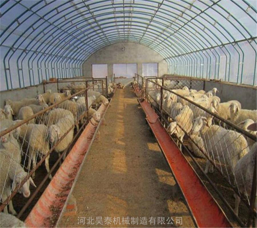 搭建家禽養(yǎng)殖大棚 薄膜溫室養(yǎng)豬大棚 保溫大棚