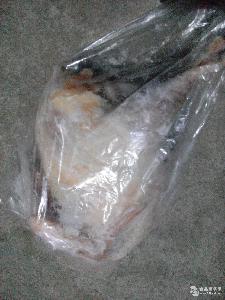 山東 雞. 雞.價(jià)格 報(bào)價(jià) 雞.品牌廠家