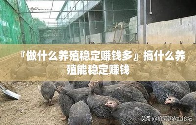 『做什么養(yǎng)殖穩(wěn)定賺錢多』搞什么養(yǎng)殖能穩(wěn)定賺錢